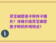 灵芝破壁孢子粉样子图片？详细介绍灵芝破壁孢子粉的外观特点？