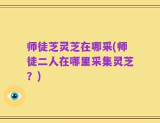师徒芝灵芝在哪采(师徒二人在哪里采集灵芝？)