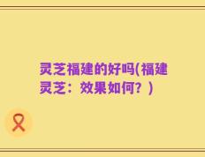 灵芝福建的好吗(福建灵芝：效果如何？)