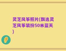 灵芝风筝照片(飘逸灵芝风筝装扮50米蓝天)