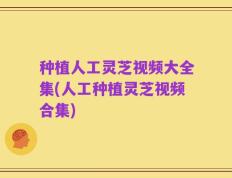 种植人工灵芝视频大全集(人工种植灵芝视频合集)