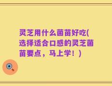 灵芝用什么菌苗好吃(选择适合口感的灵芝菌苗要点，马上学！)