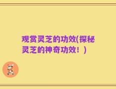 观赏灵芝的功效(探秘灵芝的神奇功效！)