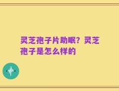 灵芝孢子片助眠？灵芝孢子是怎么样的