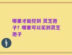 哪里才能挖到 灵芝孢子？哪里可以买到灵芝孢子