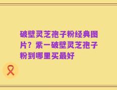 破壁灵芝孢子粉经典图片？紫一破壁灵芝孢子粉到哪里买最好