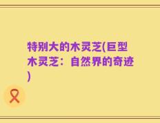 特别大的木灵芝(巨型木灵芝：自然界的奇迹)
