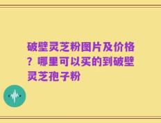 破壁灵芝粉图片及价格？哪里可以买的到破壁灵芝孢子粉
