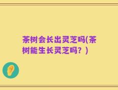 茶树会长出灵芝吗(茶树能生长灵芝吗？)