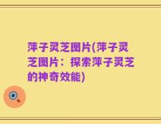 萍子灵芝图片(萍子灵芝图片：探索萍子灵芝的神奇效能)