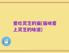 爱吃灵芝的猫(猫咪爱上灵芝的味道)