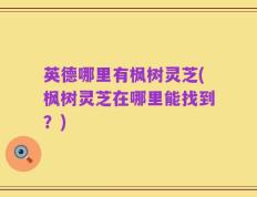 英德哪里有枫树灵芝(枫树灵芝在哪里能找到？)