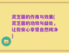 灵芝菌的作用与效果(灵芝菌的功效与益处，让你安心享受自然纯净)