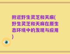 附近野生灵芝和天麻(野生灵芝和天麻在原生态环境中的发现与应用)