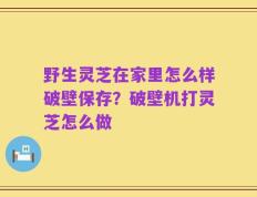 野生灵芝在家里怎么样破壁保存？破壁机打灵芝怎么做