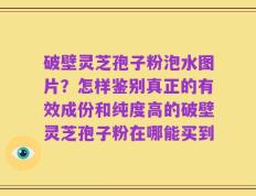 破壁灵芝孢子粉泡水图片？怎样鉴别真正的有效成份和纯度高的破壁灵芝孢子粉在哪能买到