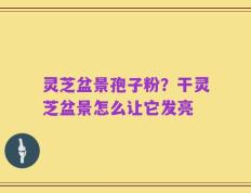 灵芝盆景孢子粉？干灵芝盆景怎么让它发亮