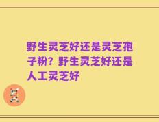 野生灵芝好还是灵芝孢子粉？野生灵芝好还是人工灵芝好