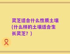 灵芝适合什么性质土壤(什么样的土壤适合生长灵芝？)