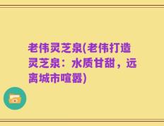 老伟灵芝泉(老伟打造灵芝泉：水质甘甜，远离城市喧嚣)