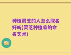 种植灵芝的人怎么取名好听(灵芝种植家的命名艺术)