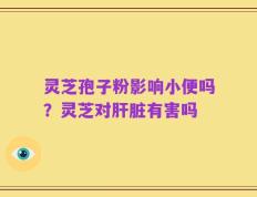 灵芝孢子粉影响小便吗？灵芝对肝脏有害吗