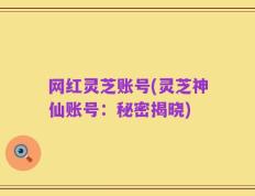 网红灵芝账号(灵芝神仙账号：秘密揭晓)