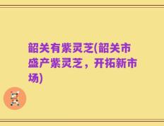 韶关有紫灵芝(韶关市盛产紫灵芝，开拓新市场)