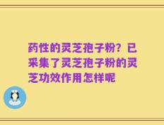 药性的灵芝孢子粉？已采集了灵芝孢子粉的灵芝功效作用怎样呢