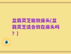 盆栽灵芝能放床头(盆栽灵芝适合放在床头吗？)
