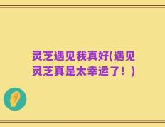 灵芝遇见我真好(遇见灵芝真是太幸运了！)