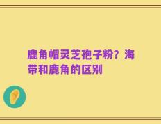 鹿角帽灵芝孢子粉？海带和鹿角的区别