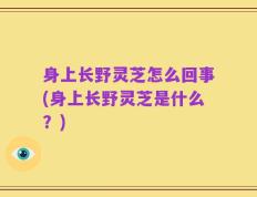 身上长野灵芝怎么回事(身上长野灵芝是什么？)
