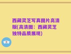 西藏灵芝写真图片高清版(高清图：西藏灵芝独特品质展现)