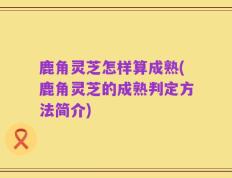 鹿角灵芝怎样算成熟(鹿角灵芝的成熟判定方法简介)