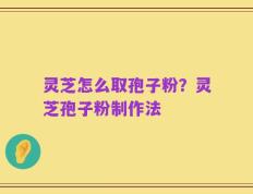 灵芝怎么取孢子粉？灵芝孢子粉制作法