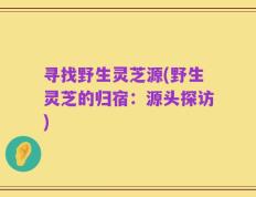 寻找野生灵芝源(野生灵芝的归宿：源头探访)