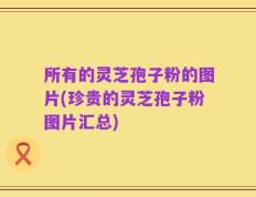 所有的灵芝孢子粉的图片(珍贵的灵芝孢子粉图片汇总)