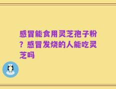 感冒能食用灵芝孢子粉？感冒发烧的人能吃灵芝吗
