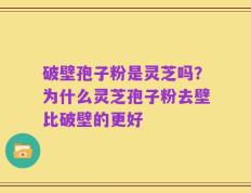 破壁孢子粉是灵芝吗？为什么灵芝孢子粉去壁比破壁的更好