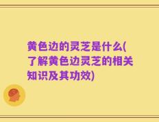 黄色边的灵芝是什么(了解黄色边灵芝的相关知识及其功效)