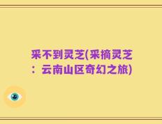 采不到灵芝(采摘灵芝：云南山区奇幻之旅)