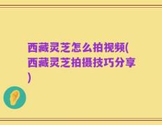 西藏灵芝怎么拍视频(西藏灵芝拍摄技巧分享)