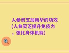 人参灵芝加精华的功效(人参灵芝提升免疫力，强化身体机能)