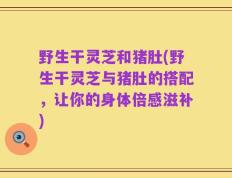 野生干灵芝和猪肚(野生干灵芝与猪肚的搭配，让你的身体倍感滋补)