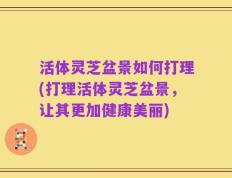 活体灵芝盆景如何打理(打理活体灵芝盆景，让其更加健康美丽)