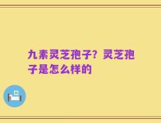 九素灵芝孢子？灵芝孢子是怎么样的