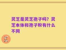 灵芝是灵芝孢子吗？灵芝本体和孢子粉有什么不同
