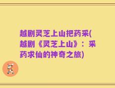 越剧灵芝上山把药采(越剧《灵芝上山》：采药求仙的神奇之旅)