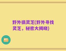 野外搞灵芝(野外寻找灵芝，秘密大揭晓)